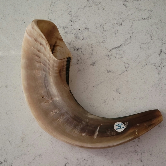 Small, Vintage Ram's Horn - Picture 2 of 2